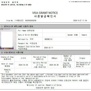Visa Tourist South Korea Single